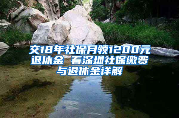 交18年社保月领1200元退休金 看深圳社保缴费与退休金详解