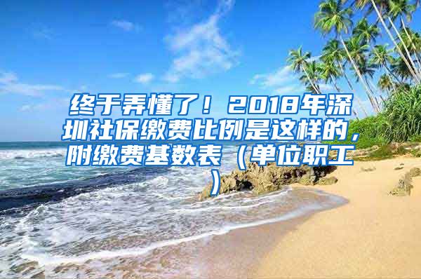 终于弄懂了！2018年深圳社保缴费比例是这样的，附缴费基数表（单位职工）