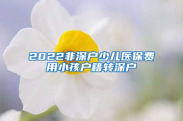 2022非深户少儿医保费用小孩户籍转深户