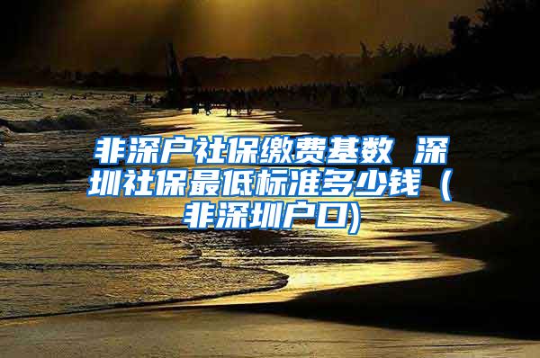 非深户社保缴费基数 深圳社保最低标准多少钱（非深圳户口)