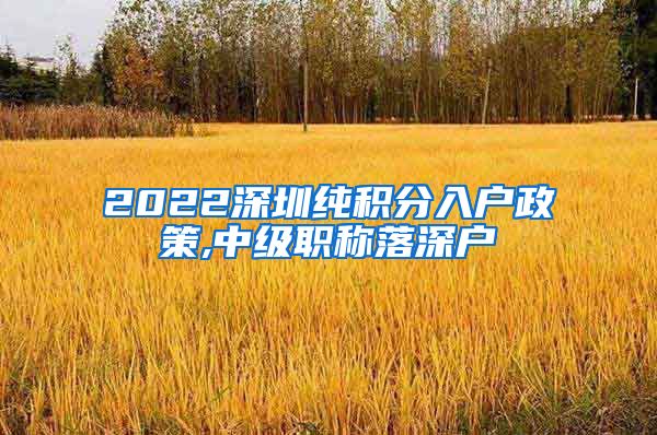 2022深圳纯积分入户政策,中级职称落深户