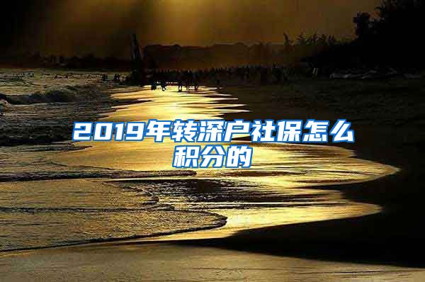 2019年转深户社保怎么积分的