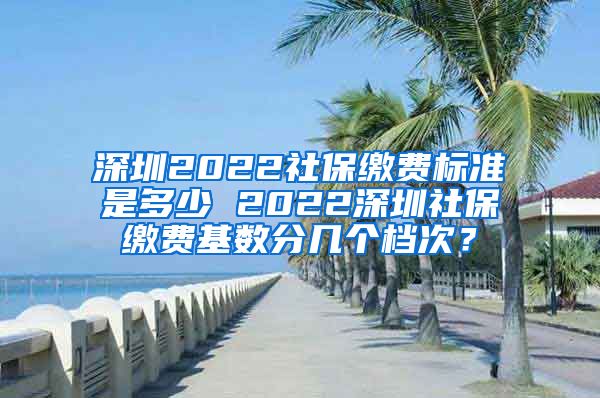 深圳2022社保缴费标准是多少 2022深圳社保缴费基数分几个档次？