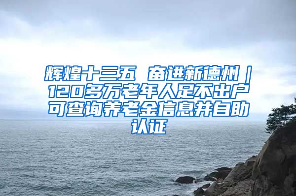 辉煌十三五 奋进新德州｜120多万老年人足不出户可查询养老金信息并自助认证