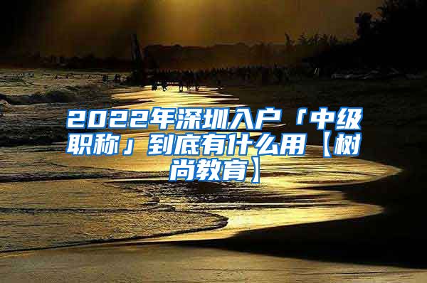 2022年深圳入户「中级职称」到底有什么用【树尚教育】