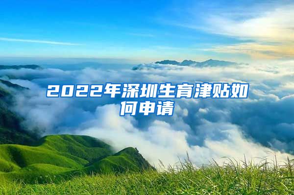 2022年深圳生育津贴如何申请