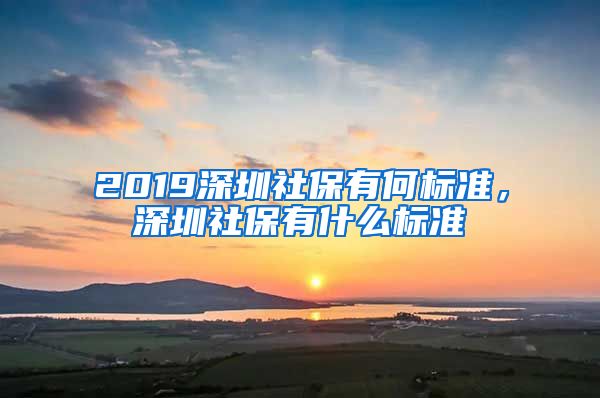 2019深圳社保有何标准，深圳社保有什么标准