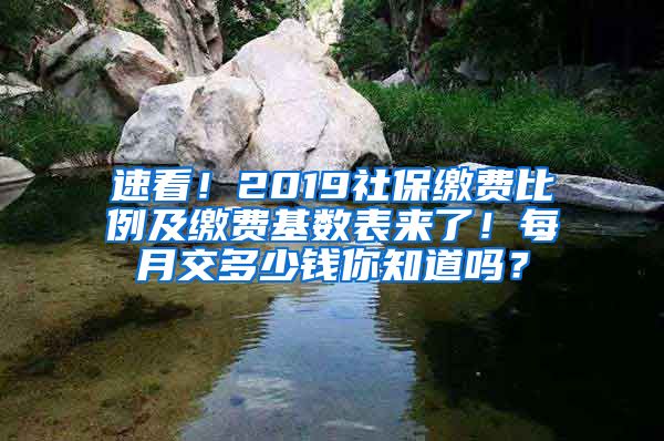 速看！2019社保缴费比例及缴费基数表来了！每月交多少钱你知道吗？