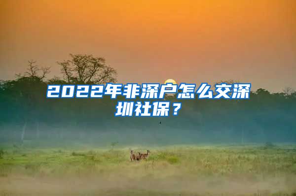 2022年非深户怎么交深圳社保？