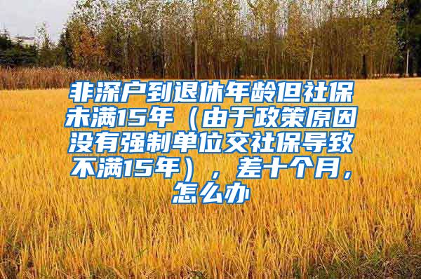 非深户到退休年龄但社保未满15年（由于政策原因没有强制单位交社保导致不满15年），差十个月，怎么办