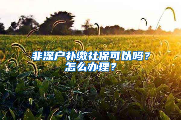 非深户补缴社保可以吗？怎么办理？