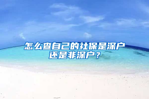 怎么查自己的社保是深户还是非深户？