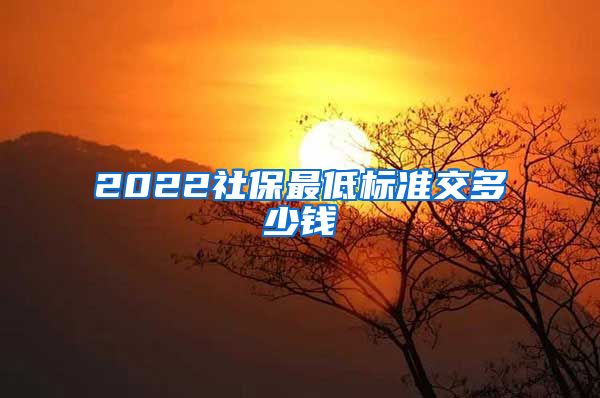 2022社保最低标准交多少钱