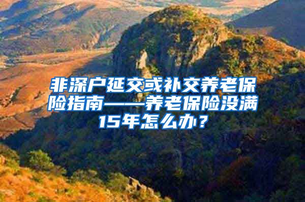 非深户延交或补交养老保险指南——养老保险没满15年怎么办？