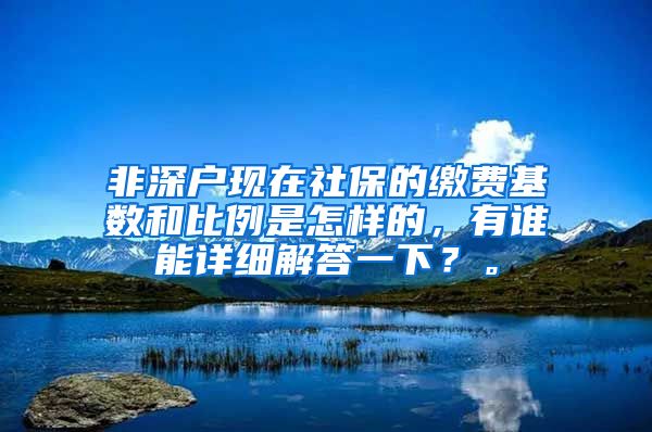 非深户现在社保的缴费基数和比例是怎样的，有谁能详细解答一下？。