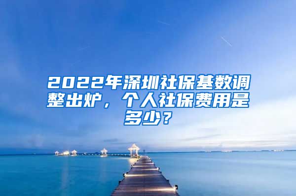 2022年深圳社保基数调整出炉，个人社保费用是多少？