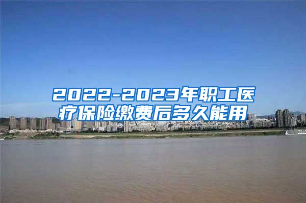 2022-2023年职工医疗保险缴费后多久能用