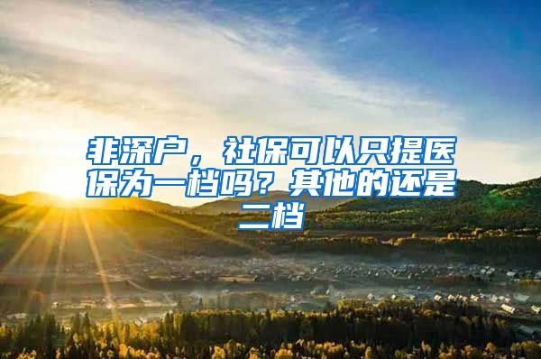 非深户，社保可以只提医保为一档吗？其他的还是二档