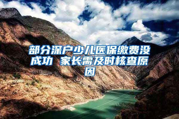 部分深户少儿医保缴费没成功 家长需及时核查原因