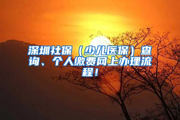 深圳社保（少儿医保）查询、个人缴费网上办理流程！