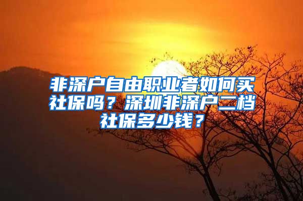 非深户自由职业者如何买社保吗？深圳非深户二档社保多少钱？