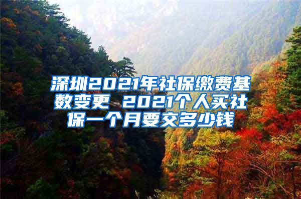 深圳2021年社保缴费基数变更 2021个人买社保一个月要交多少钱