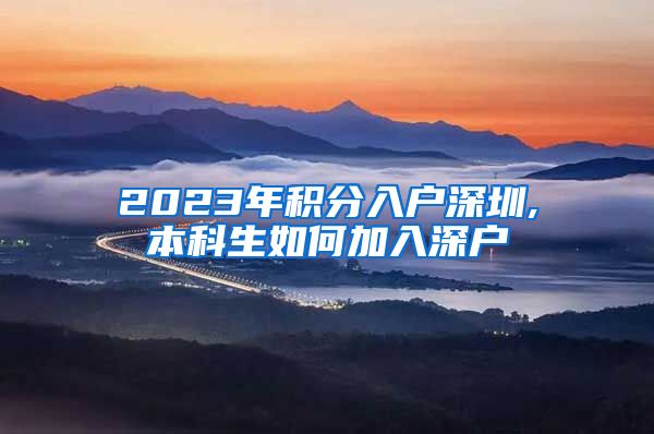 2023年积分入户深圳,本科生如何加入深户