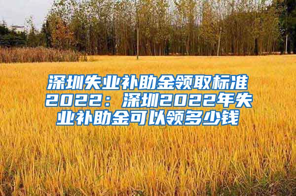 深圳失业补助金领取标准2022：深圳2022年失业补助金可以领多少钱