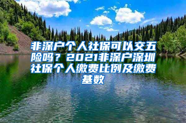 非深户个人社保可以交五险吗？2021非深户深圳社保个人缴费比例及缴费基数