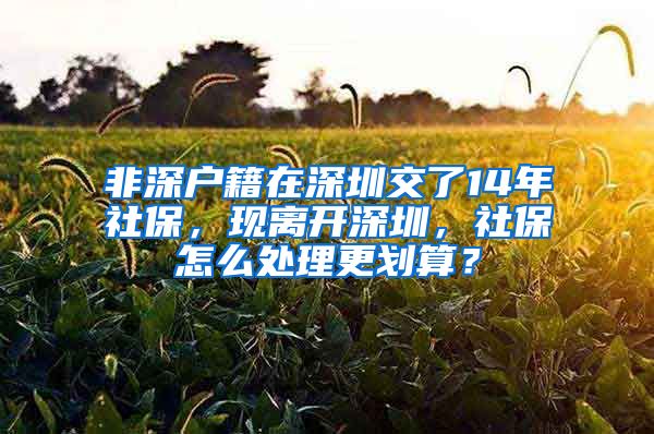 非深户籍在深圳交了14年社保，现离开深圳，社保怎么处理更划算？