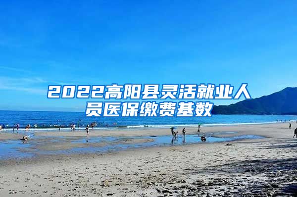 2022高阳县灵活就业人员医保缴费基数