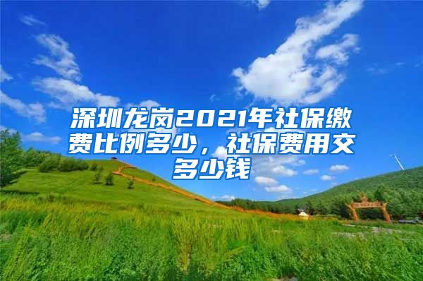 深圳龙岗2021年社保缴费比例多少，社保费用交多少钱