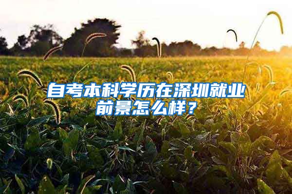 自考本科学历在深圳就业前景怎么样？