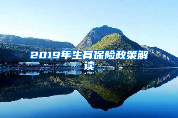 2019年生育保险政策解读