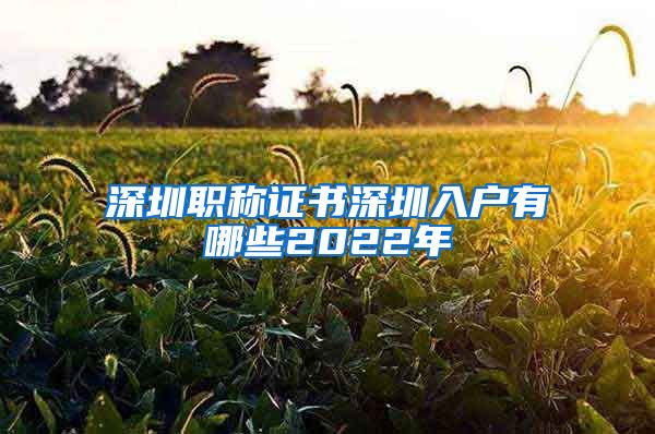 深圳职称证书深圳入户有哪些2022年