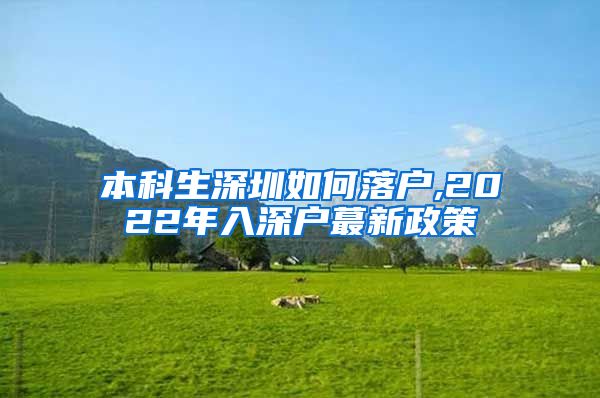 本科生深圳如何落户,2022年入深户蕞新政策