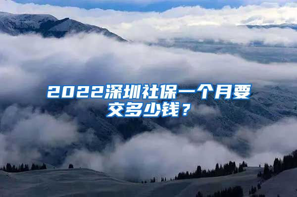 2022深圳社保一个月要交多少钱？