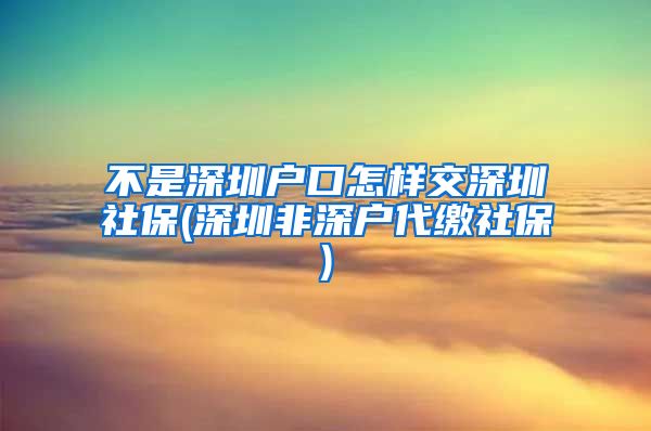 不是深圳户口怎样交深圳社保(深圳非深户代缴社保)