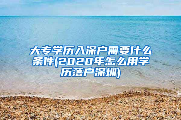 大专学历入深户需要什么条件(2020年怎么用学历落户深圳)