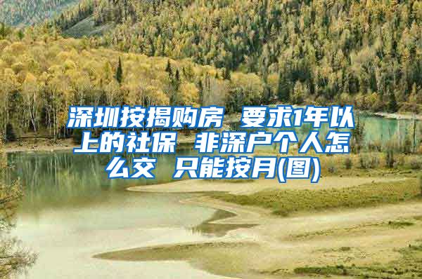 深圳按揭购房 要求1年以上的社保 非深户个人怎么交 只能按月(图)