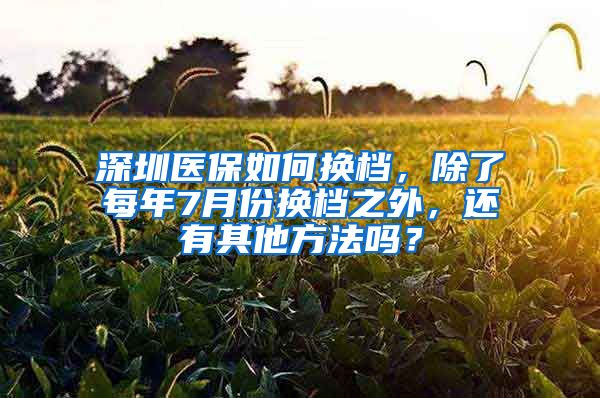 深圳医保如何换档，除了每年7月份换档之外，还有其他方法吗？