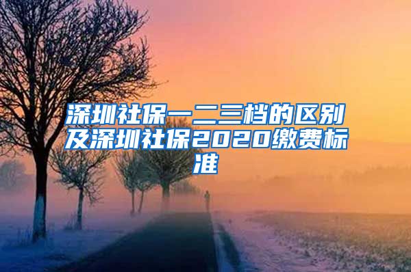 深圳社保一二三档的区别及深圳社保2020缴费标准