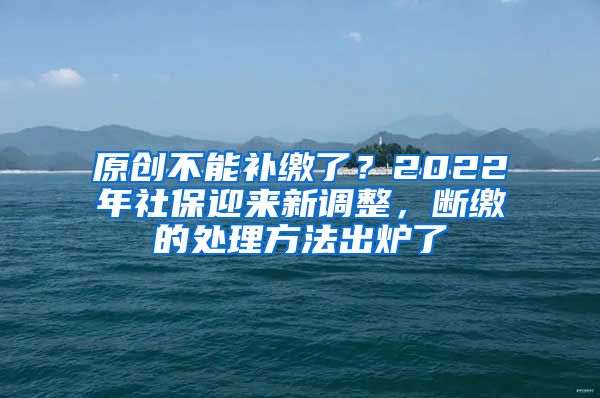 原创不能补缴了？2022年社保迎来新调整，断缴的处理方法出炉了