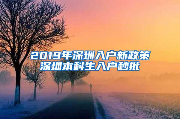 2019年深圳入户新政策深圳本科生入户秒批