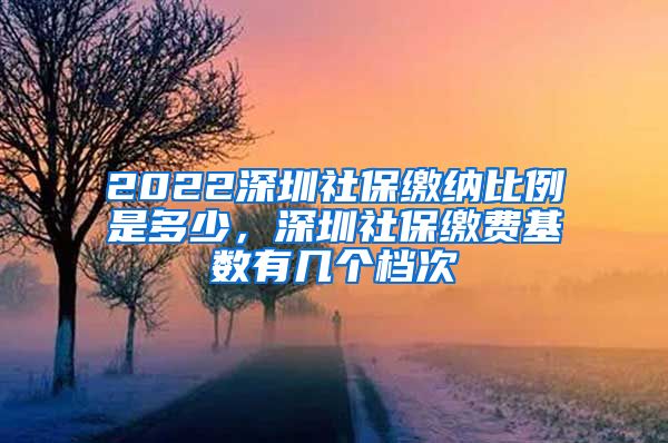 2022深圳社保缴纳比例是多少，深圳社保缴费基数有几个档次