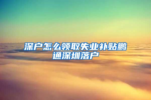 深户怎么领取失业补贴鹏通深圳落户