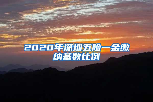 2020年深圳五险一金缴纳基数比例