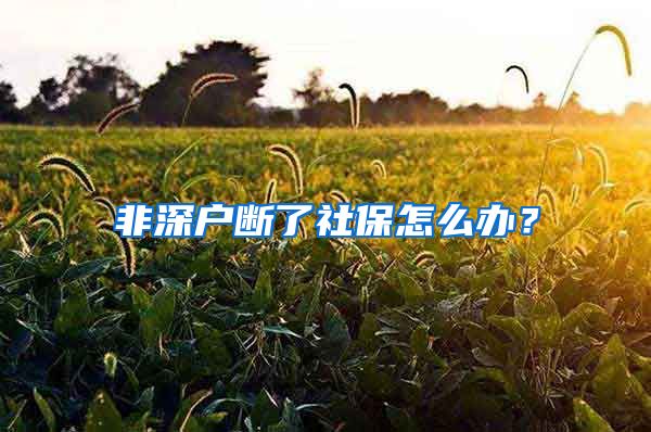 非深户断了社保怎么办？