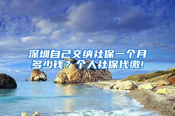 深圳自己交纳社保一个月多少钱？个人社保代缴!