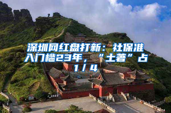 深圳网红盘打新：社保准入门槛23年，“土著”占1／4